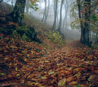 В гостях у осени.