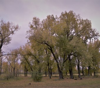 Природные изменения