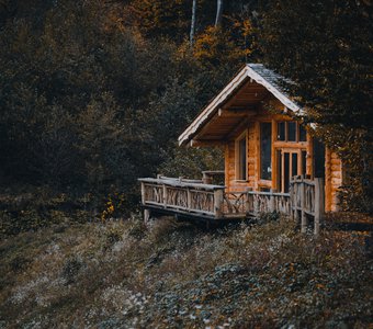 Лесной дом