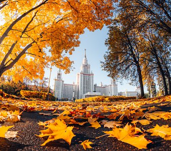 Золотая осень у стен МГУ