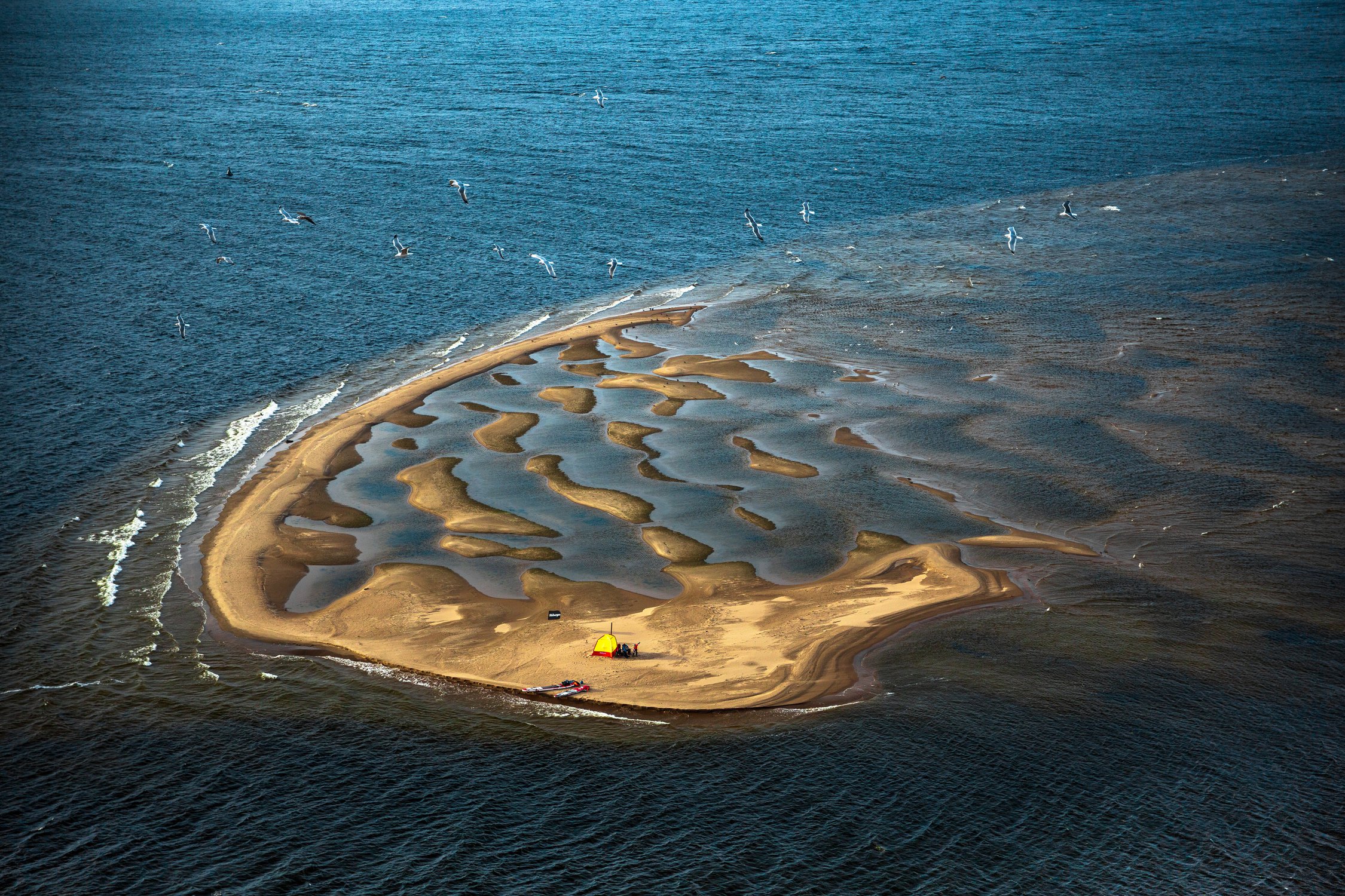 Птичий остров