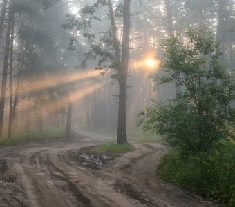 С первыми лучами