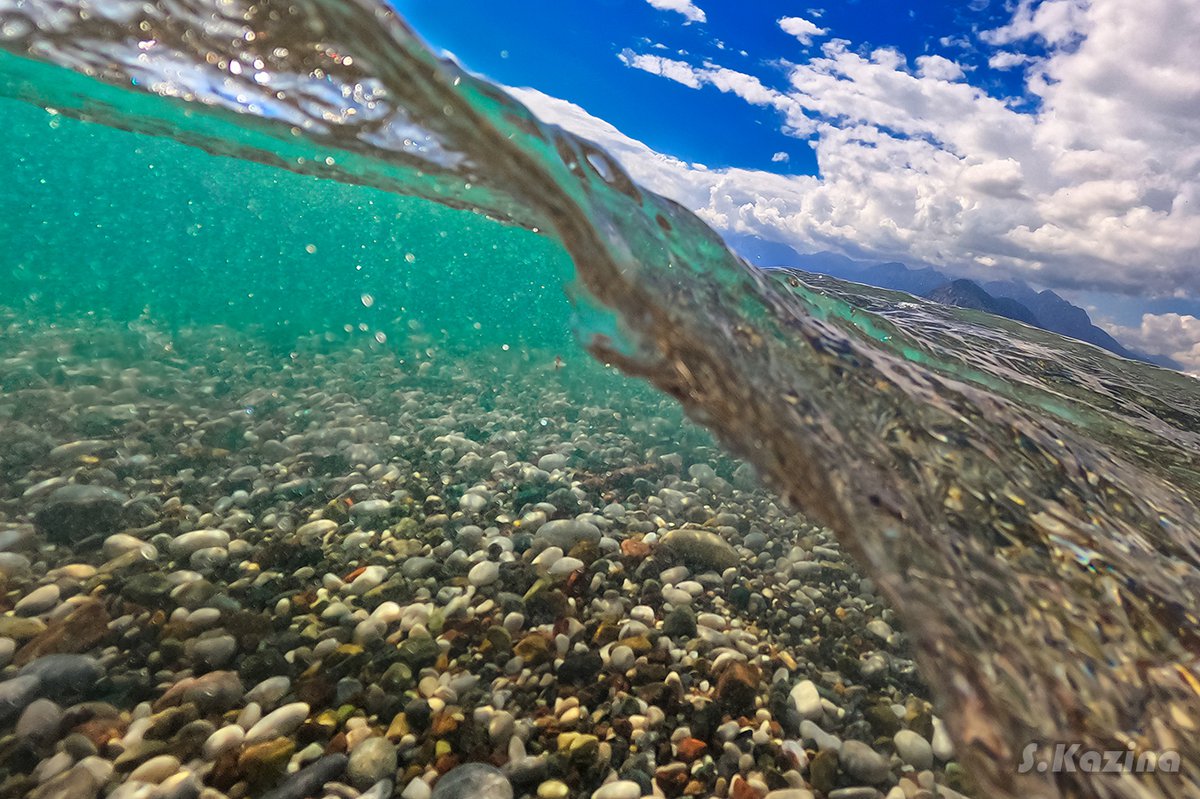 Sea again. Съемка под водой ствол дерева корни и водоросли.