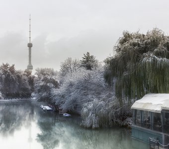 Ноябрьский снег в Ташкенте