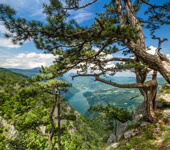 Сербия, каньон реки Увац