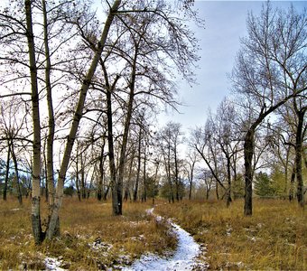 В гости