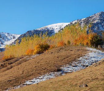 Костер догорающей осени