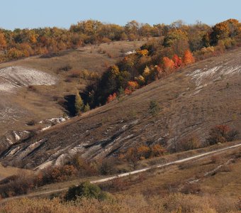 Краски осени