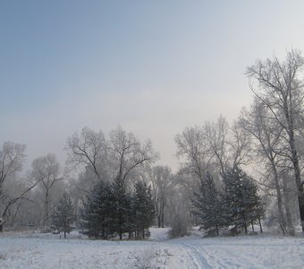 По тропинке