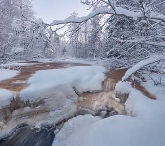 В объятиях зимы