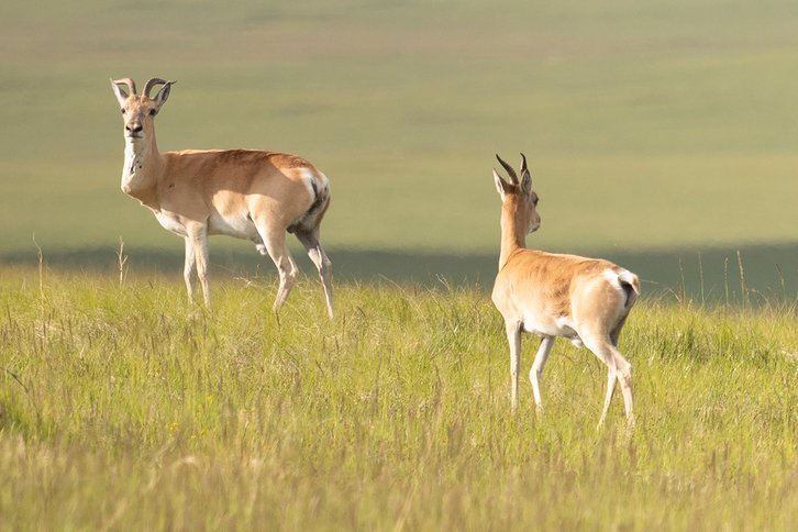 Фото: Елена Щипкова / фотохостинг Russian Traveler