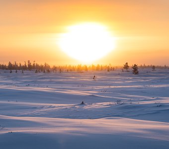 Белое солнце снежной пустыни