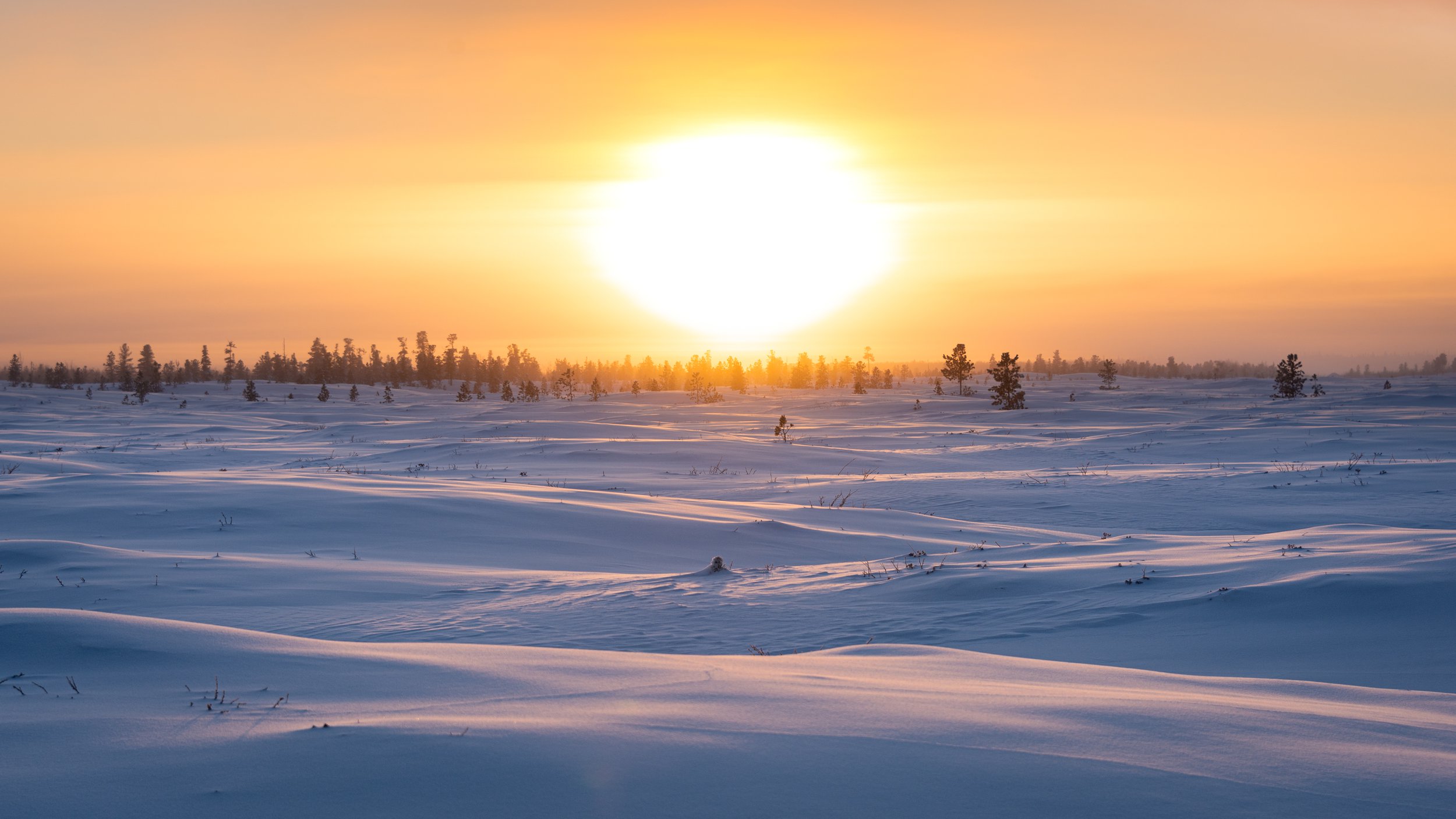 Белое солнце снежной пустыни