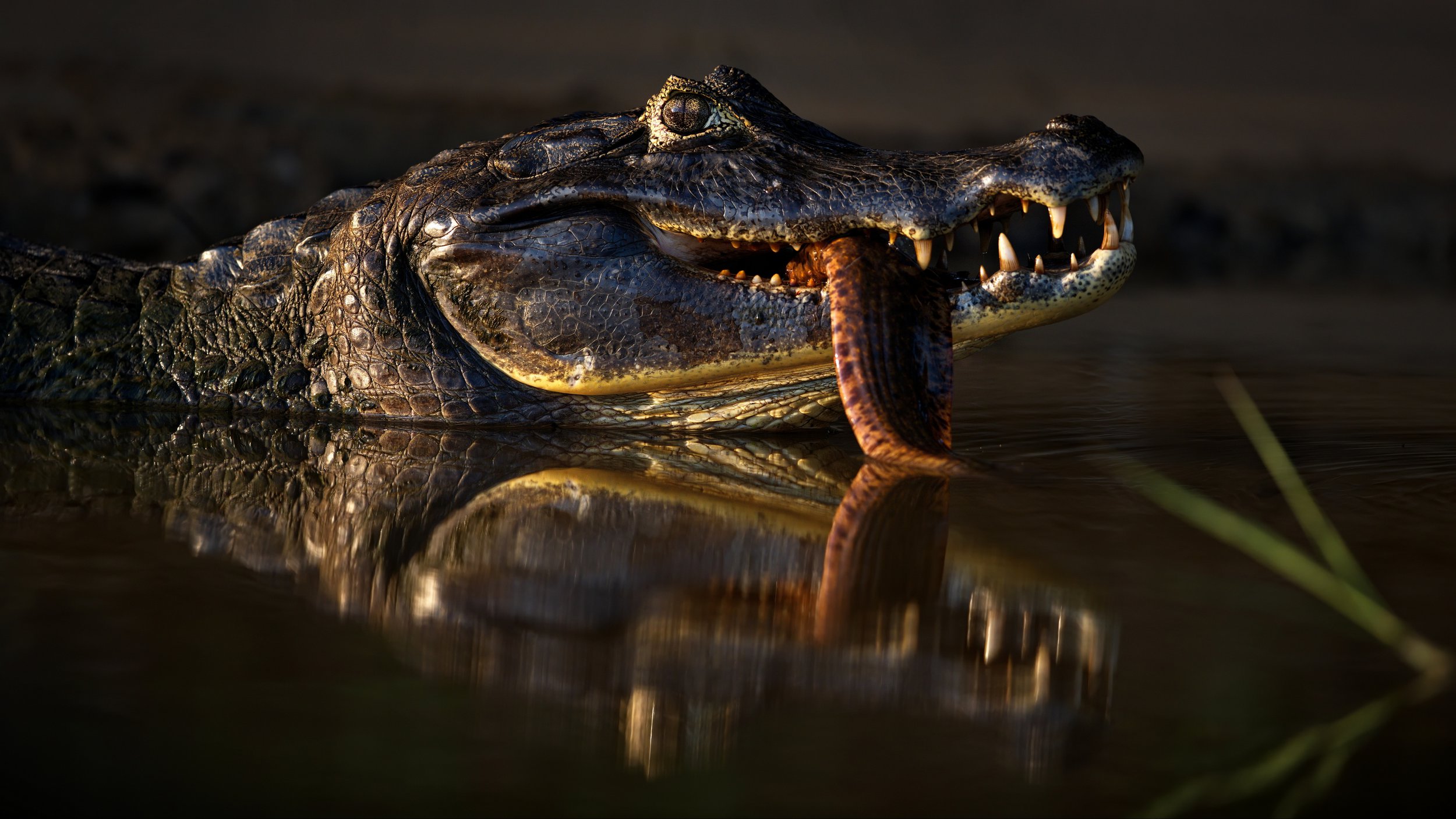 Хороший улов