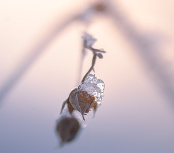 Ледяной бриллиант