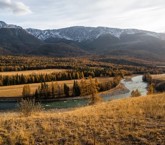 Золотая осень на Алтае