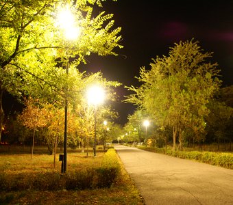 Нефтекумск, парк, ночью