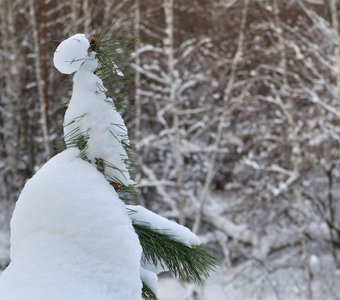 Неведома зверюшка