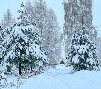 Красота в мелочах… Зима в деревне…