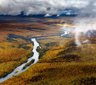 Цвета осенней Камчатки