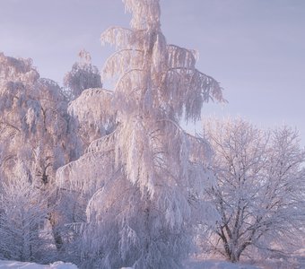 Рязанская невеста