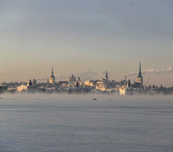 Морозно-туманный Таллин