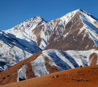 В шкуре тигра