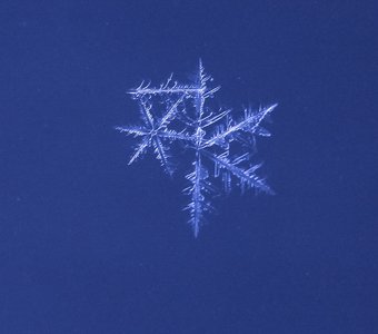 Double snowflake / Двойная снежинка