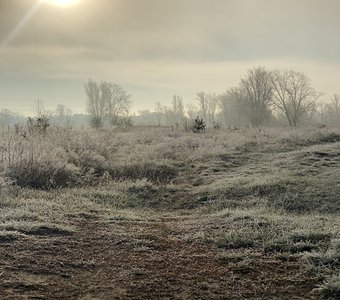 Красота в мелочах…Утро в лугах…