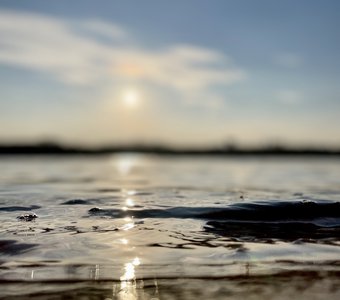 Красота в мелочах…На реке Волга