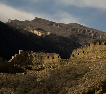 Крепость Имама Шамиля