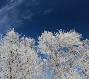 Снежность