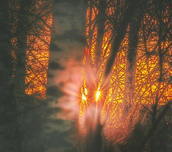 утро зимнее