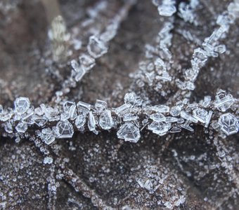 Ледяные кристаллы