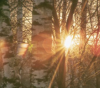 свет утренней зари в зимнее время