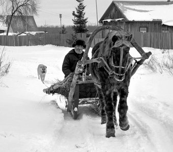 Лошадка мохноногая, торопится, бежит