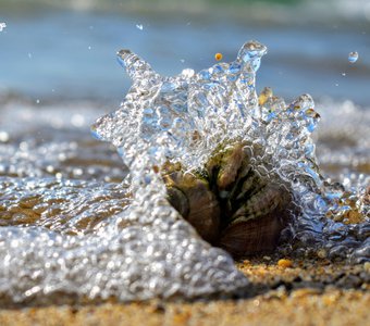 Море,море...