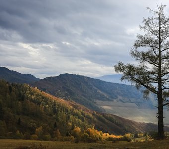 Горный Алтай  Усть Сема