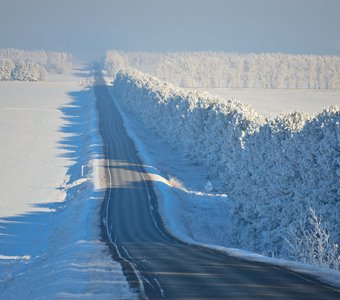 Зимняя дорога