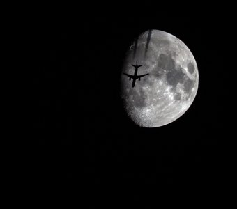 Лунный рейс