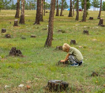 save Baikal