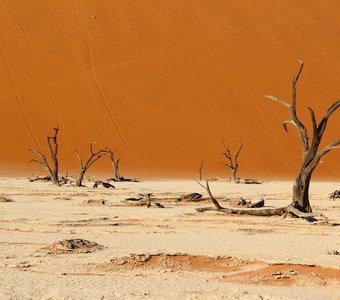 Намибия, Мёртвая долина