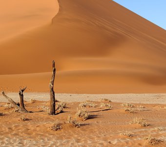 В сердце пустыни Намиб