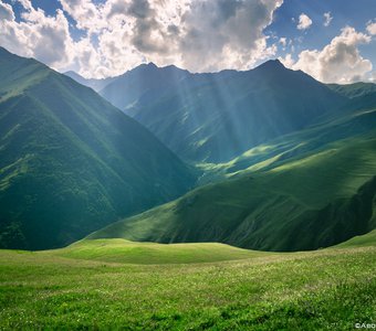 Альпийские луга горной Чечни