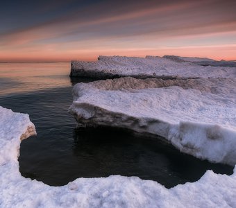 Арктические виды на побережье Балтийского моря