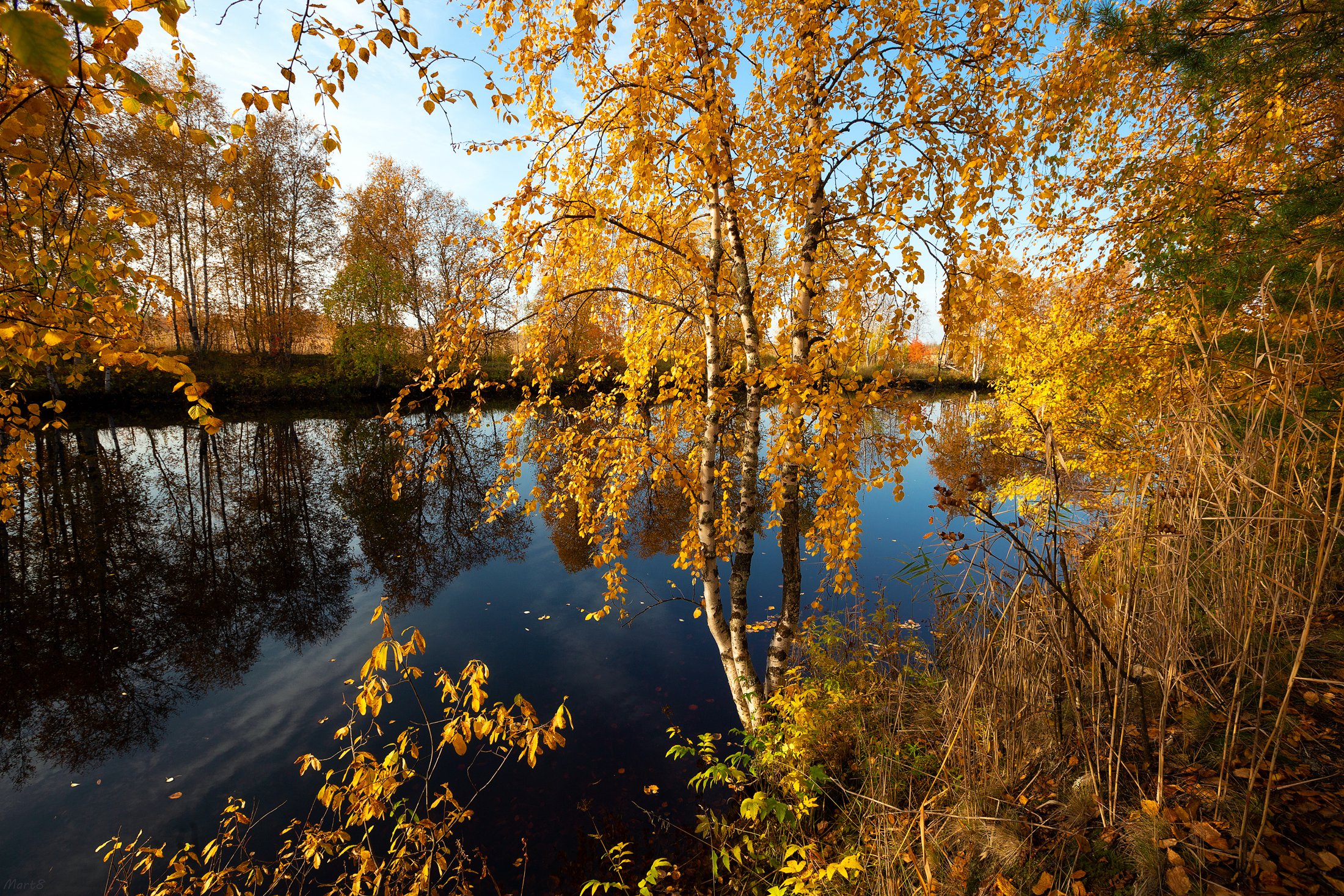 Золотая осень