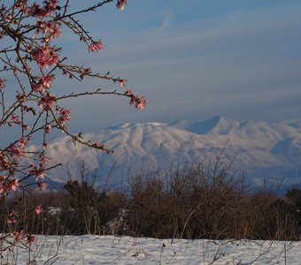 зима в Израиле на севере Голанских высот