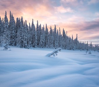 Снежность