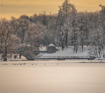 Зимний пейзаж Дворцового парка Гатчины