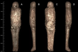 Зачем египетскую мумию обернули в кокон из грязи?